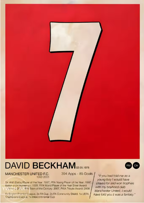 David Beckham Canvas